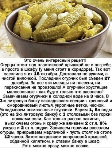 Эта тема итвресиыи решит огурцы стоит под пппшиковой крышкой ив в погребе в прост в шкафу у мнил шт в коридоре Так вы апшпила я их и птбря дата лв ив рупии чисшй вилачкаи Последиий пгурчик бьш сьедвн и джаз За все эти месяцы ии плеоеии ии перекисаиия не проивошю А огурчики хрустшие малосольные как Буше только что эвеолеиы эвмвчиаввм огурчики в халадиои вадв иа часа в и литровую банку заклвдываем с