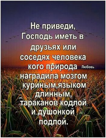 Не приведи Господь иметь в друзьях ипи соседях человека кого природа