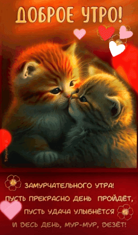 Т то тд ь дсно день пусть удача улыбнется И ВЕСЬ ДЕНЬ М9Мв9 ЭЕЗЁТ