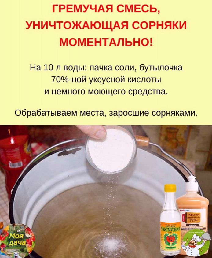 ГРЕМУЧАЯ СМЕСЬ УНИЧТОЖАЮЩАЯ СОРНЯКИ МОМЕНТАЛЬНО На 10 л воды пачка соли бутьшочка 70 ной уксусной кислоты и немного моющего средства обрабатываем места заросшие сорняками