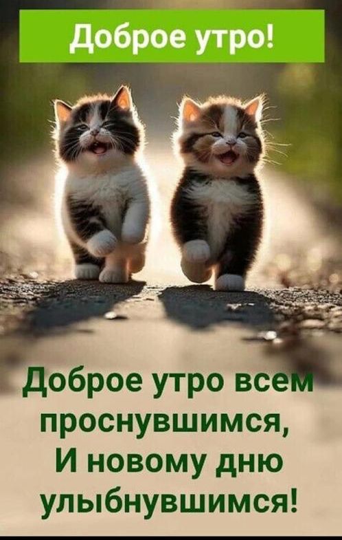 доброе утро проснувшимся И новому дню улыбнувшимся