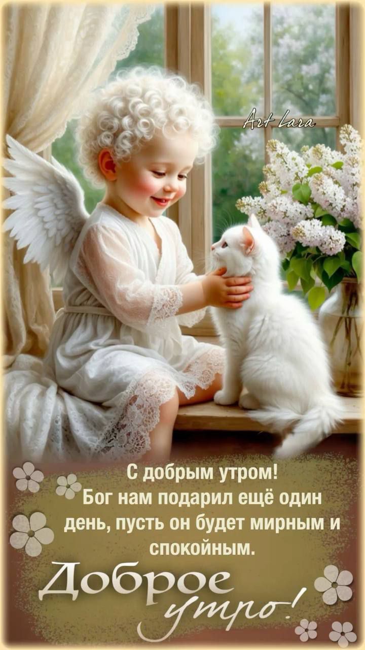 С добрым утром! Бог нам подарил ещё один день, пусть он будет мирным и спокойным. Доброе утро!