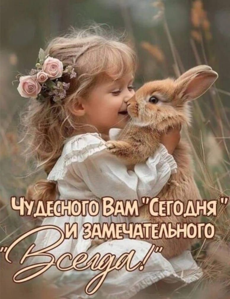 Чудесного Вам 