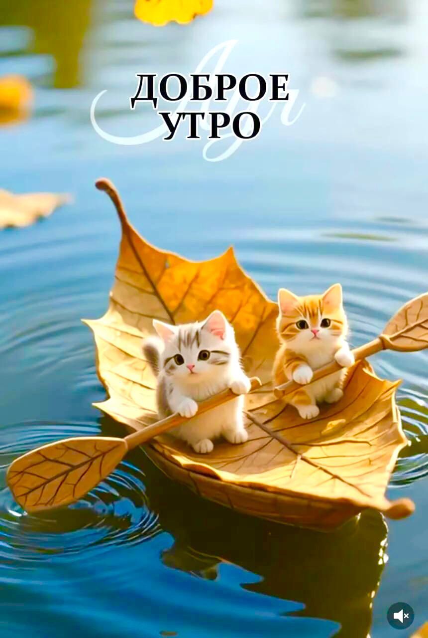 Доброе утро