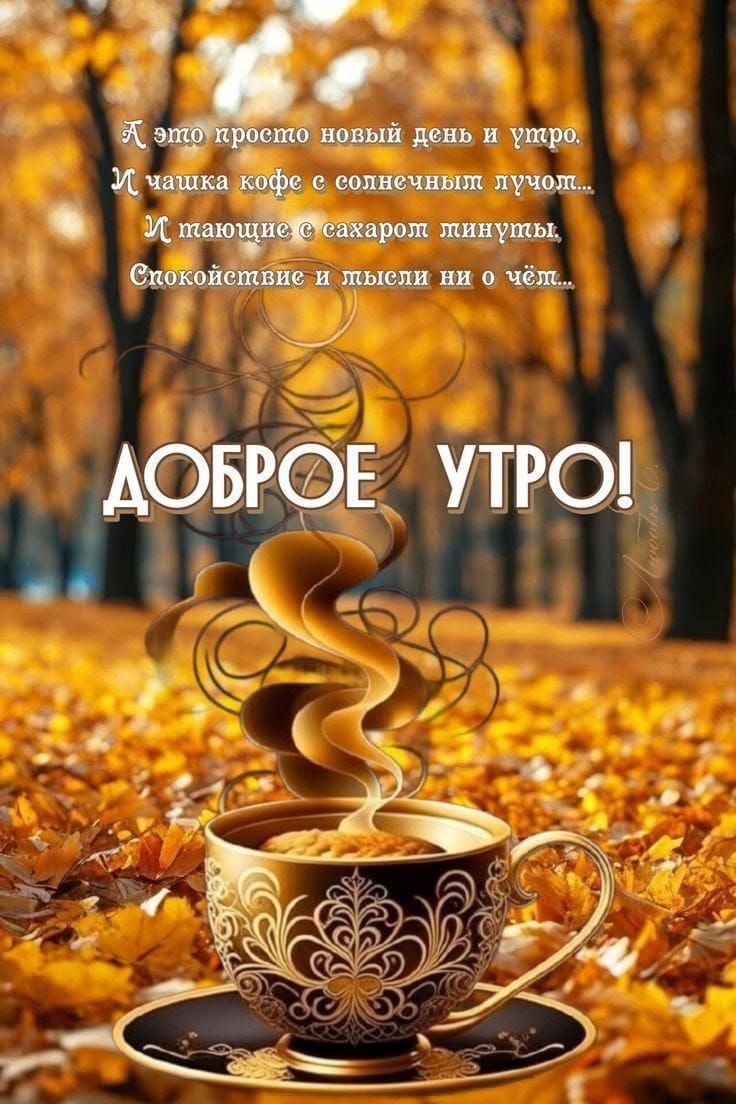 Это просто новый день и утро. И чашка кофе с солнечными лучами... И такие с сахаром минуты, Спокойствие и мысли ни о чём... ДОБРОЕ УТРО!
