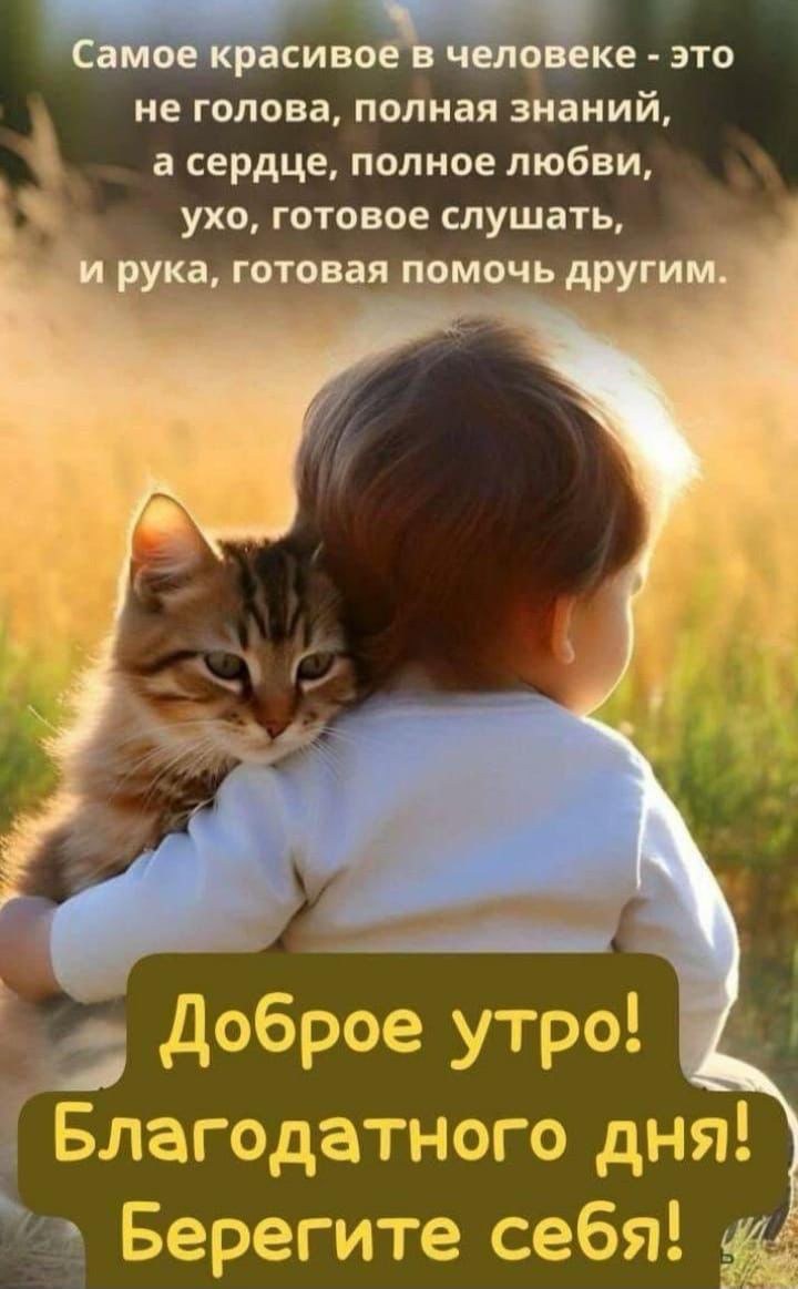 Самое красивое в человеке - это не голова, полная знаний, а сердце, полное любви, ухо, готовое слушать, и рука, готовая помочь другим. Доброе утро! Благодатного дня! Берегите себя!
