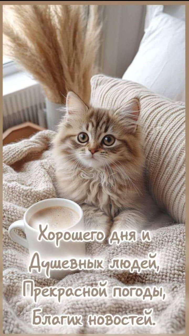 Хорошего дня и Душевных людей, Прекрасной погоды, Благих новостей.