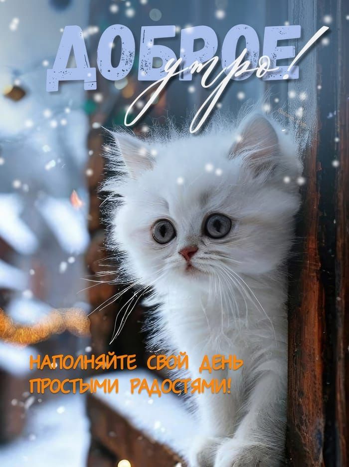 Доброе утро
Наполняйте свой день простыми радостями!