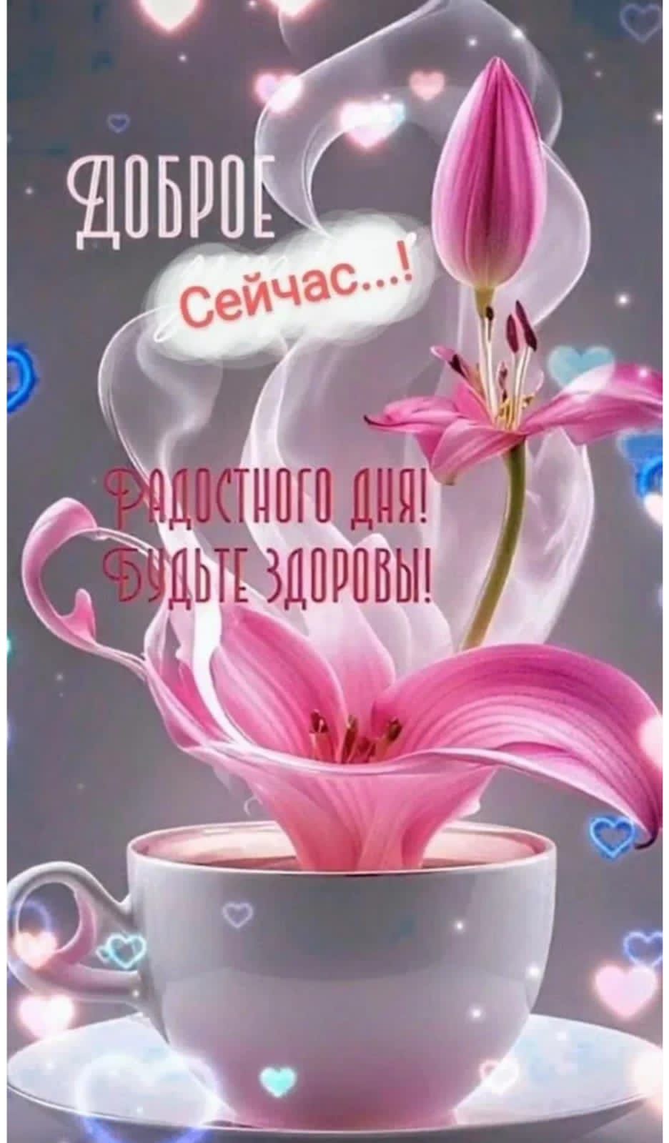 Доброе Сейчас...! Радостного дня! Будьте здоровы!