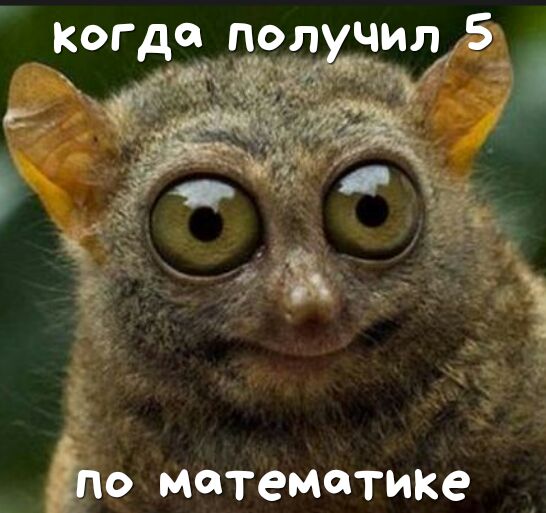 Зло математике