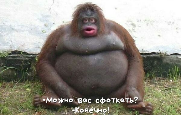 можно все сфоткотъ очеічнэ