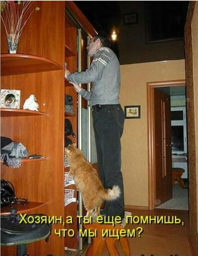 ТХозя ин а _ещедъомнишь что мр ищем _