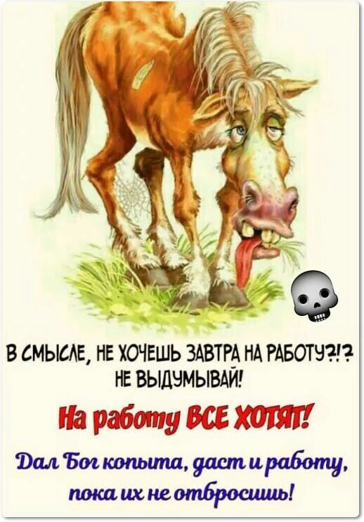 В СМЫМЕ НЕ ХОЧЕШЬ ЗАВТРА НА РАБОТ НЕ ВЫДНМЫВАИ рабшшужёхтп
