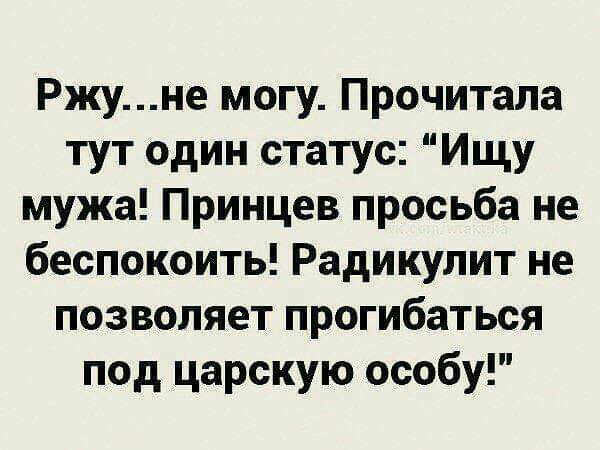 Ржуне могу Прочитала тут один статус Ищу мужа Принцев просьба не беспокоить Радикулит не позволяет прогибаться под царскую особу