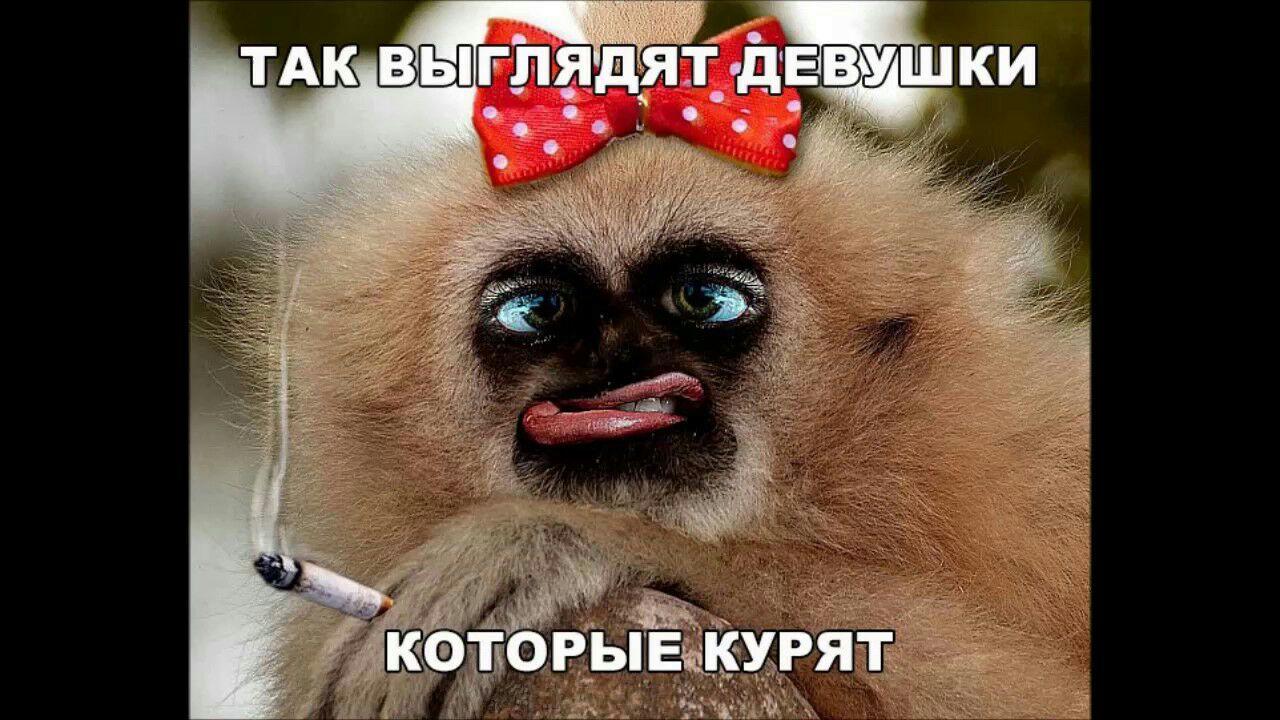 _ ТАК ЫЫЕ ЭДЯТ дЕВУШКИ
