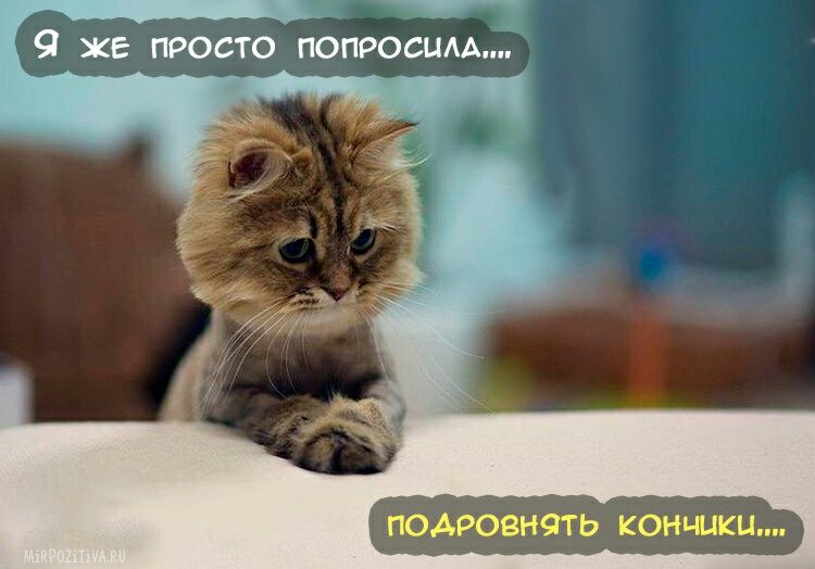 ЮАРОВРЮГ Ь КОНЩКЦ