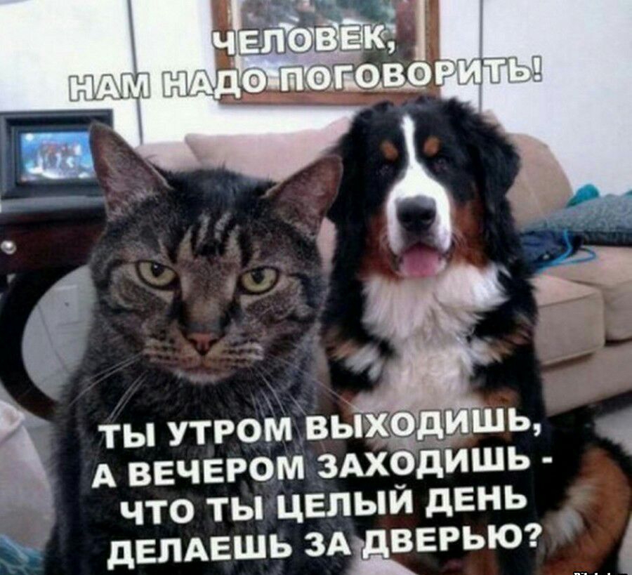 ТЫ УТРОМ ВЫХФДИШЬ А ВЕЧЕРОМ ЗАХОДИШЬ ЧТО ТЫ ЦЕЛЫЙ дЕНЬ дЕЛАЕШЬ ЗАЁЕРЬЮ
