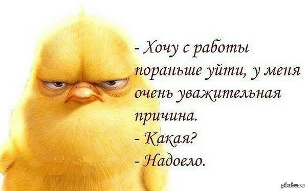 Хочу с работы _ оранъше уйти уменя очень увщительная причина _ Юки Ёадогло