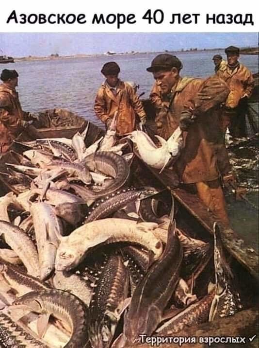О Н Т е л О 4 С р 0 м С О к с в О 3 А