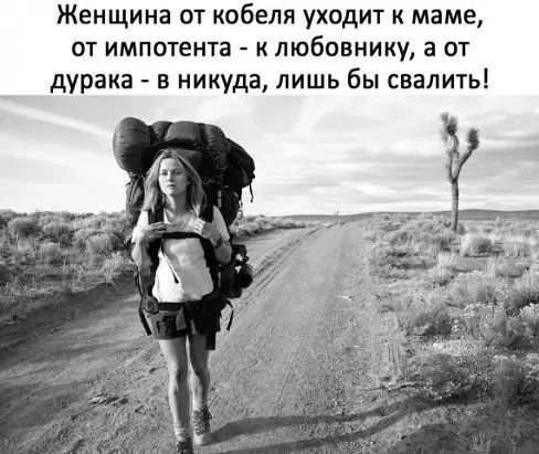 Женщина от кобеля уходит к маме от импотента любовнику а от дурака в никуда лишь бы свалить