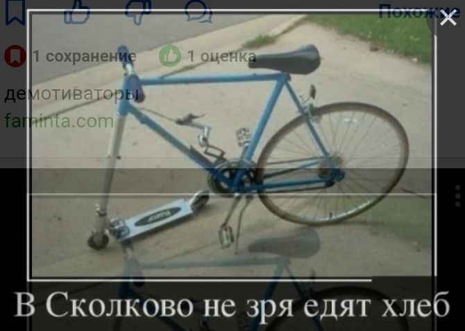 В Сколково не зря едят хлеб