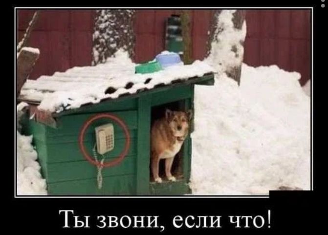 Ты звони если что