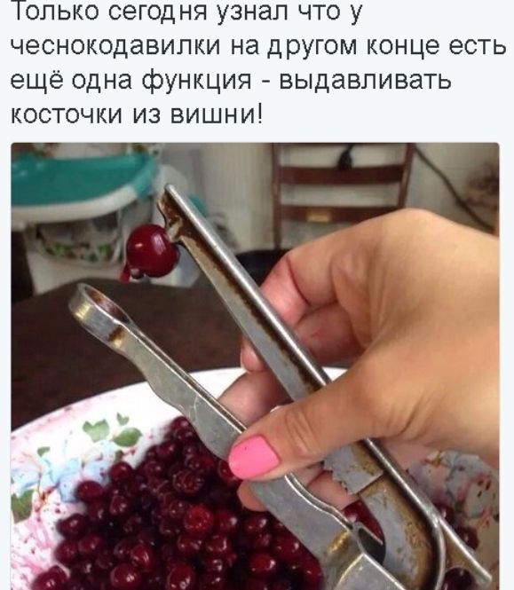 опько сегодня узнал что у чеснокодавипки на другом конце есть ещё одна функция выдавливать косточки из вишни