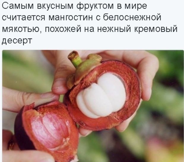 Самым вкусным фруктом в мире считается мангоотин с белоснежной мякотью похожей на нежный кремовый десерт
