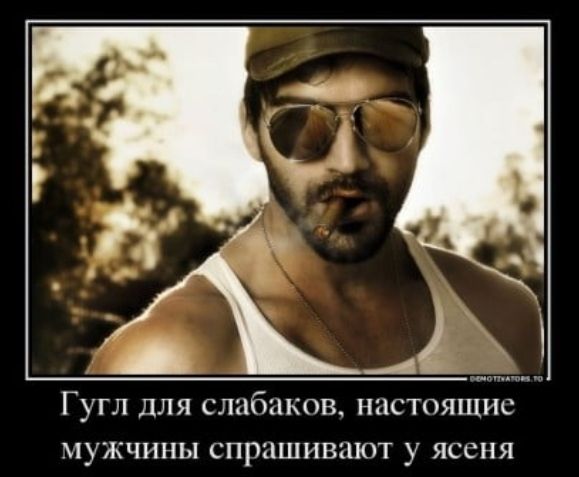 Гугл для слпбаков настоящие мужчины спрашивают у ясеня