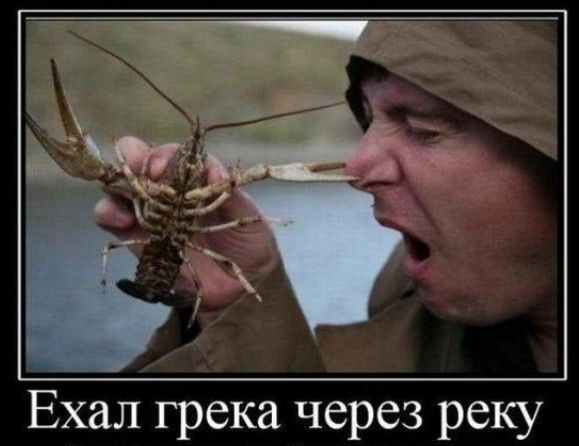 Ехал грека через реку