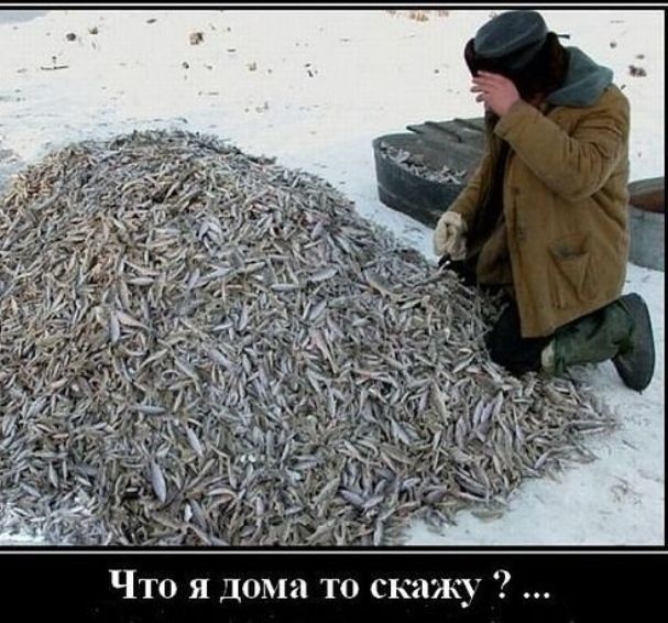 Что я дома то 0 кпжу