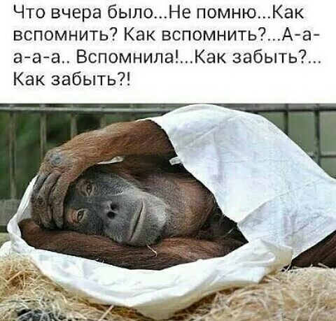 Что вчера былоНе помнюКак вспомнить Как вспомнитьАа ааа Вспомнила_Как забыть Как забыть