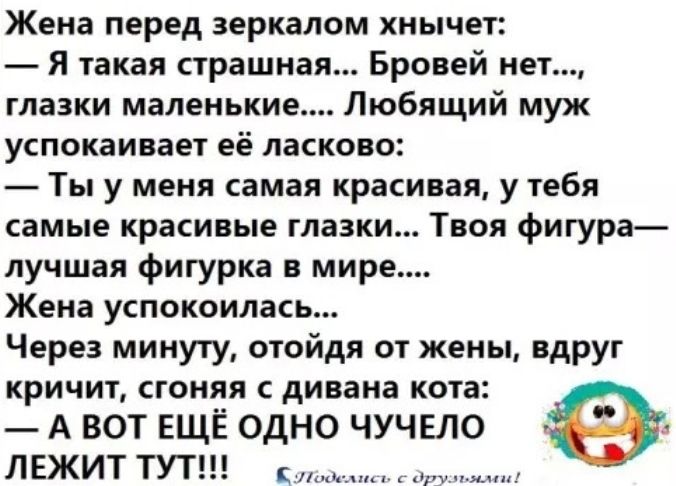 Жена перед зеркалом хнычет Я такая страшная Бровей нет глазки маленькие Любящий муж успокаивает её ласково Ты у меня самая красивая у тебя самые красивые глазки Твоя фигура лучшая фигурка в мире Жена успокоилась Через минуту отойдя от жены вдруг кричит сгоняя с дивана кота А ВОТ ЕЩЁ ОДНО ЧУЧЕЛО ЛЕЖИТ ТУТ д__