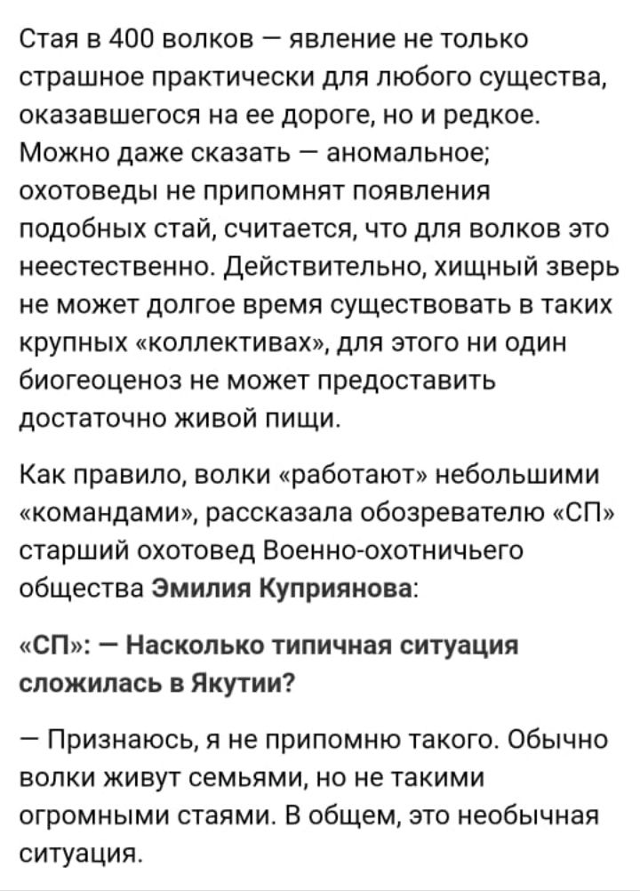 Стая в 400 волков явление не только страшное практически для любого существа оказавшегося на ее дороге но и редкое Можно даже сказать аномальное охотоведы не припомнят появления подобных стай считается что для волков это неестественно Действительно хищный зверь не может долгое время существовать в таких крупных коллективах для этого ни один биогеоценоз не может предоставить достаточно живой пищи К