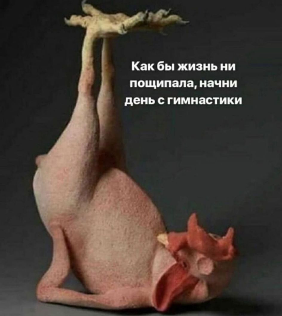 Как бы жизнь ни пощипапа начни день с гимнастики