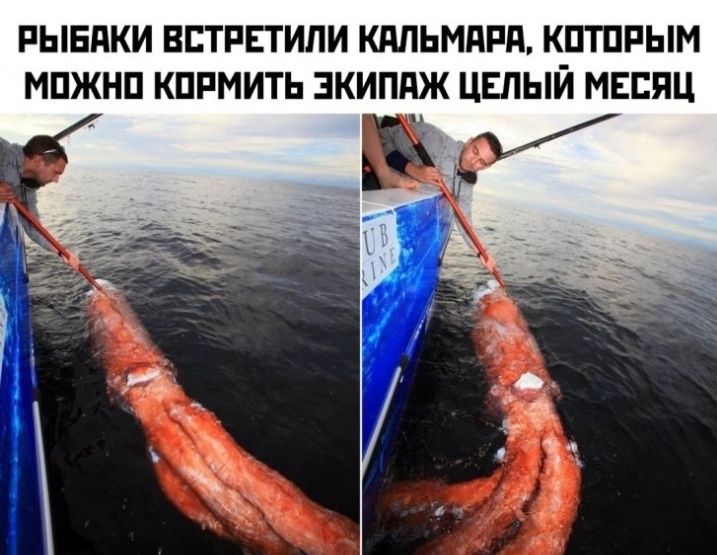 РЫЕдКИ ВСТРЕТИПИ КдПЬМдРд КПТПРЫМ МПЖНП КПРМИТЬ ЭКИППЖ ЦЕЛЫЙ МЕСЯЦ