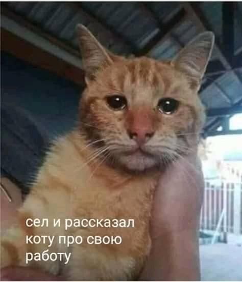 сел и рассказал котупросвою работу