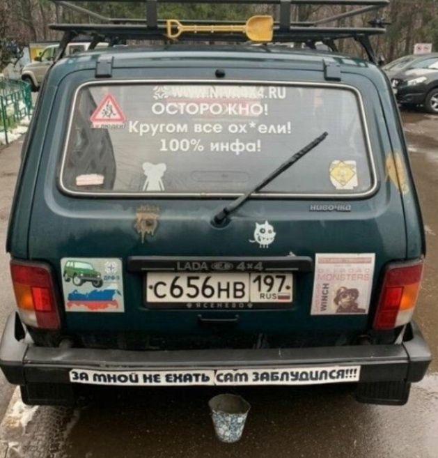 типов и пить птЗйЕтшимп 9 7