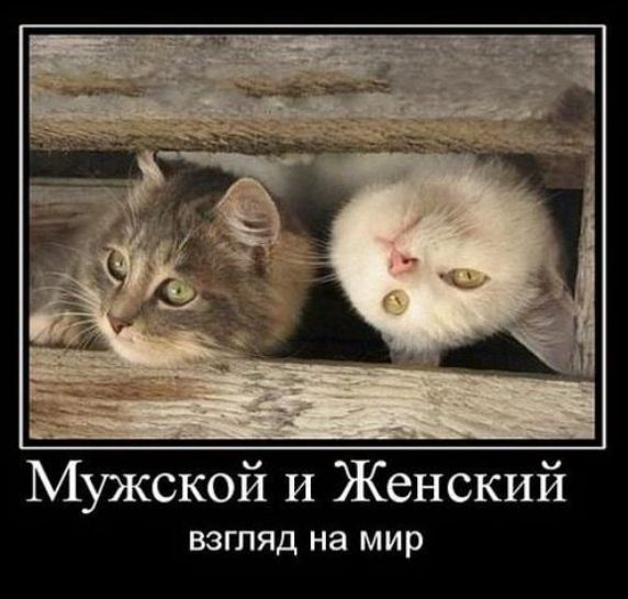 Мужской И Женский ВЗГЛЯД на мир