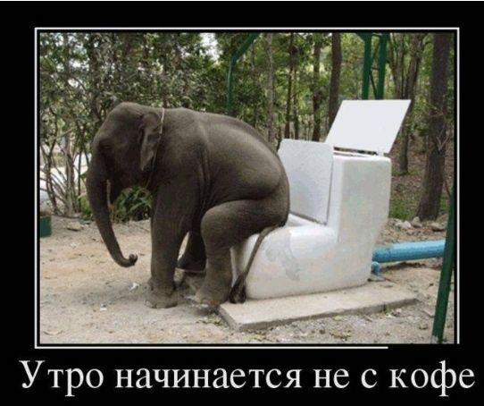 Утро начинается не с кофе