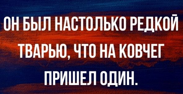 ОН БЫЛ НАБТОЛЬКП РЕДКИЙ ТВАРЬЮ ЧТО НА КОВЧЕГ ПРИШЕЛ ОДИН