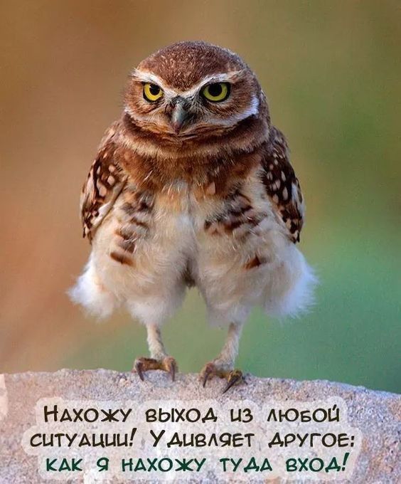 __ НАХОЖУ выход из мовош сцтушцц УАцвАаег другое Ак 9 НАХОЖУЪТУАА вхОА