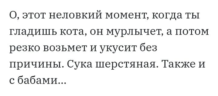 О этот неловкий момент когда ты гладишь кота он мурльшет а потом резко возьмет И укусит без причины Сука шерстяная Также И с бабами