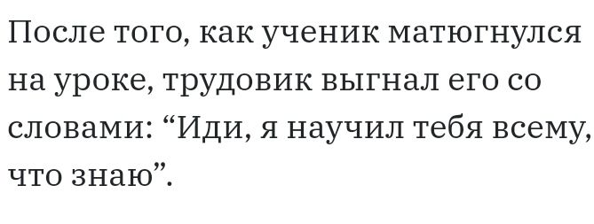 После того как ученик матюгнулся на уроке трудовик выгнал его со словами Иди я научил тебя всему что знаю