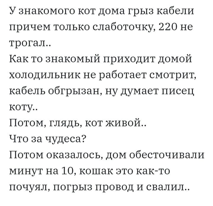 У знакомого кот дома грыз кабели причем только слаботочку 220 не трогал Как то знакомый приходит домой холодильник не работает смотрит кабель обгрызан ну думает писец коту Потом глядь кот живой Что за чудеса Потом оказалось дом обесточивали минут на 10 кошак это как то почуял погрыз провод и свалил
