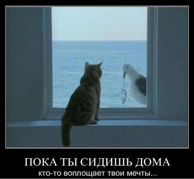 ПОКА ТЫ СИДИШЬ ДОМА КТО ТО ВОППОЩЗЭТ ТВОИ МЭЧТЫ