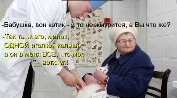 Бабушка вон котик йто неажіл ится а Вы что же Г ы 5го муллы _Ж СлідЮИ полный излаш г 11 пн таня ВС чш миг жиму ЖС