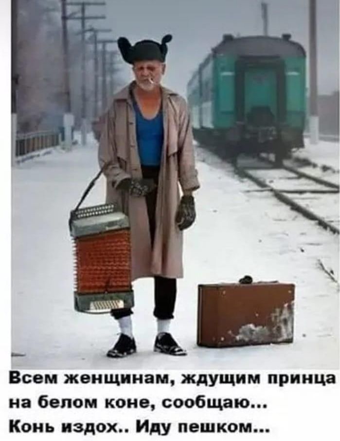 щук Всем женщинам ЖДУЩИМ принца на белом коне сообщаю Конь издох Иду пешком __