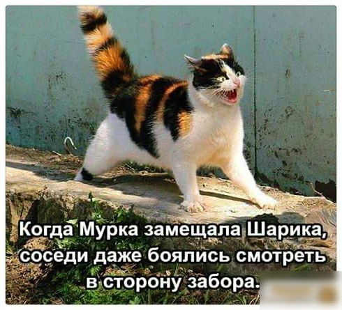в сторону забора