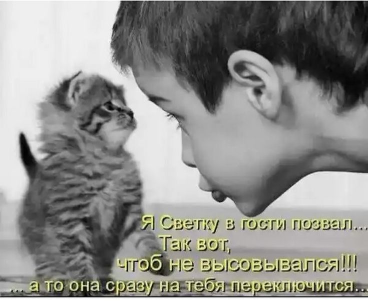 авг 13 высозьшап с